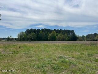 201 Richardson Road Dover, NC 28526 - Photo 4 of 7 IMG_2401
