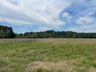 201 Richardson Road Dover, NC 28526 - Photo 5 of 7 IMG_2402