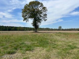 201 Richardson Road Dover, NC 28526 - Photo 6 of 7 IMG_2403