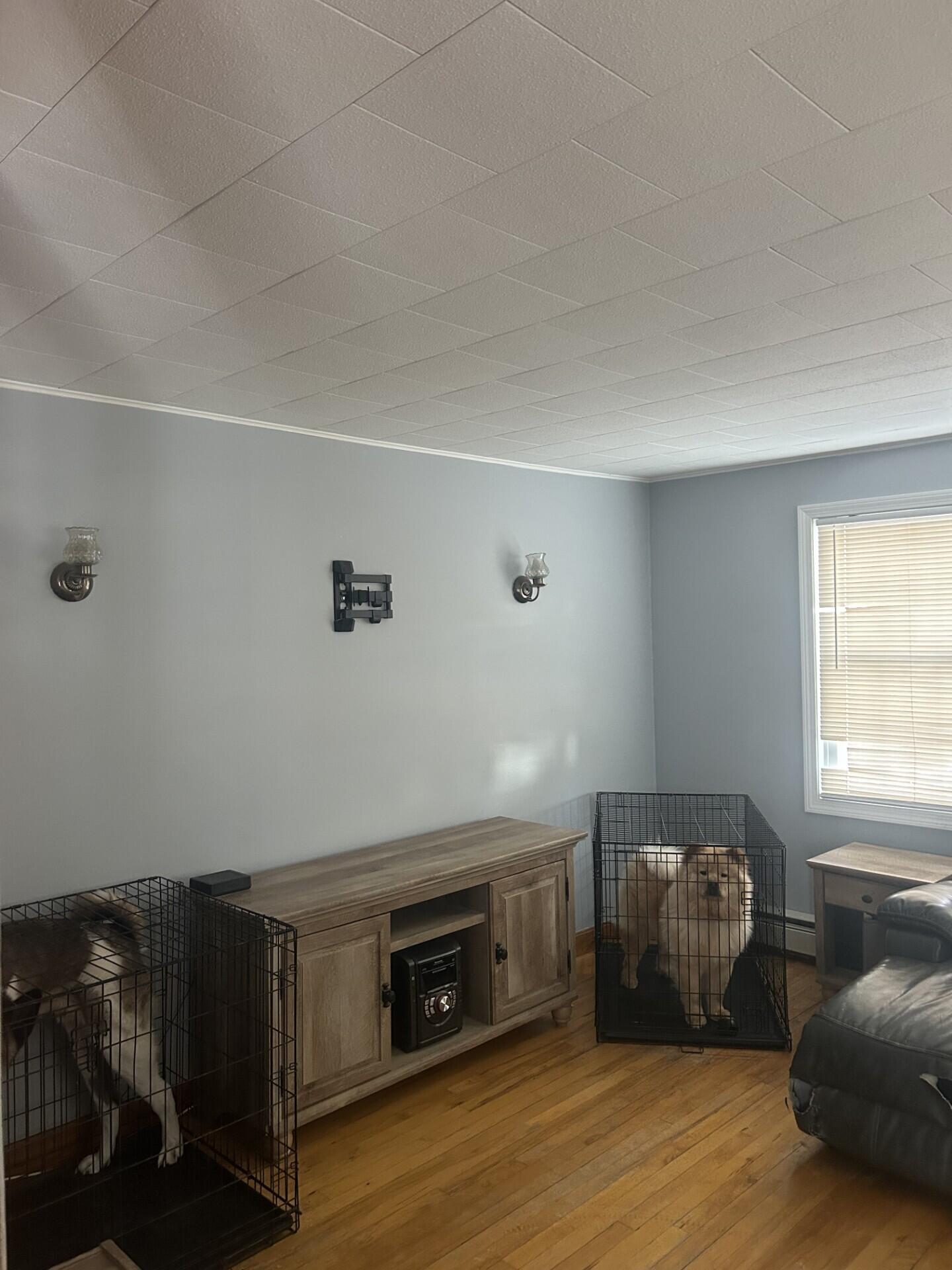 8 Bemis Street Livermore Falls, ME 04254 - Photo 13 of 23 0416 living room side windows