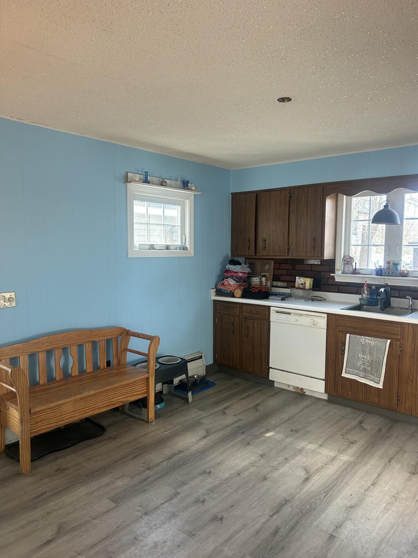 8 Bemis Street Livermore Falls, ME 04254 - Photo 9 of 23 0416 dishwasher