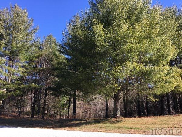 Lot 25 Trillium Ridge Road Cullowhee, NC 28723 - Photo 3 of 5 Gallery Image 3