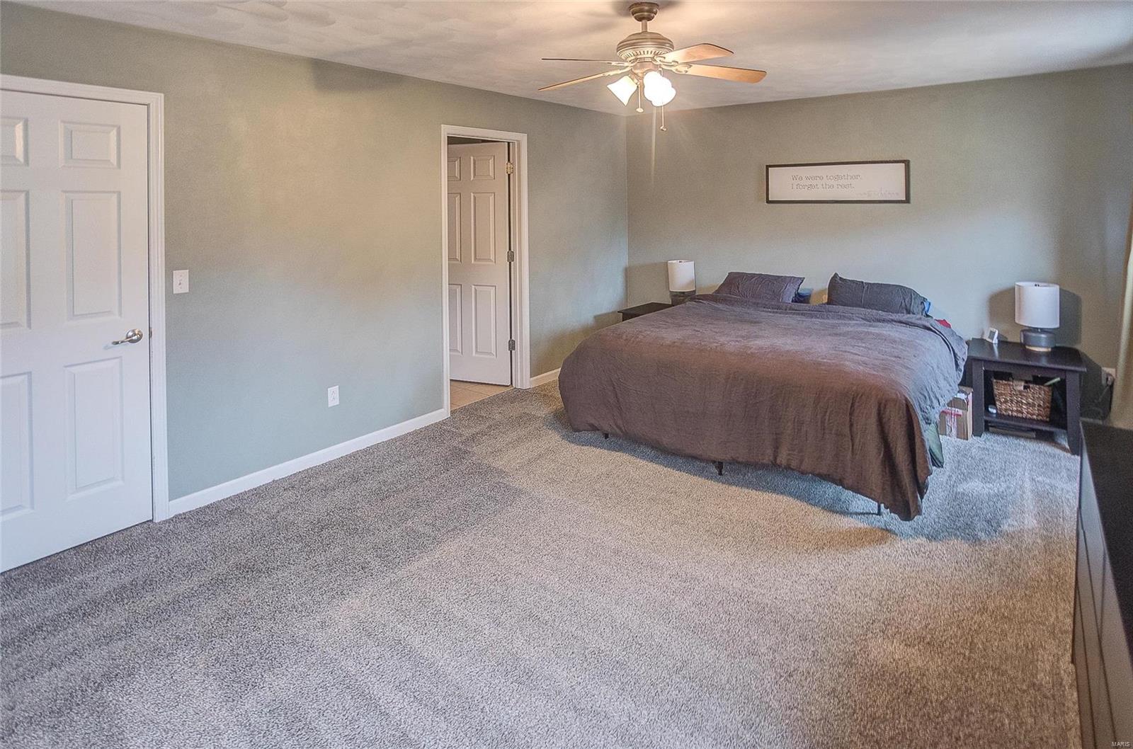 116 Starlight Drive Belleville, IL 62226 - Photo 17 of 45