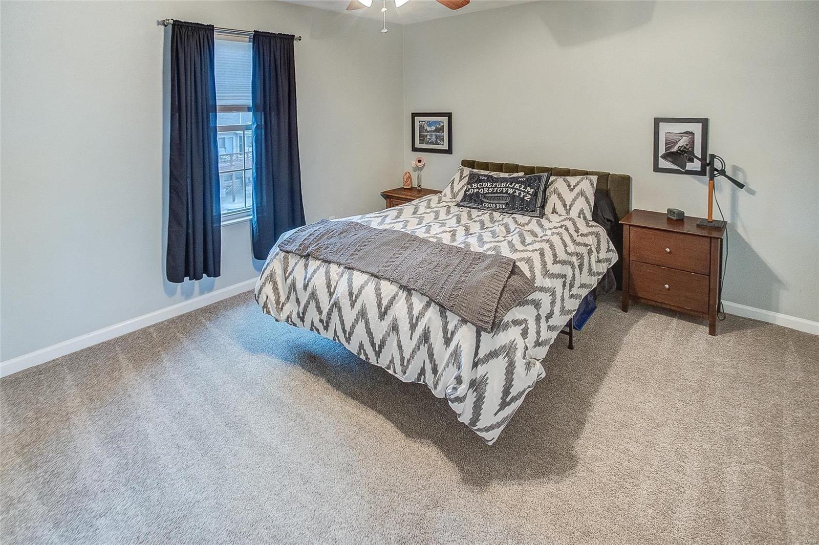 116 Starlight Drive Belleville, IL 62226 - Photo 22 of 45