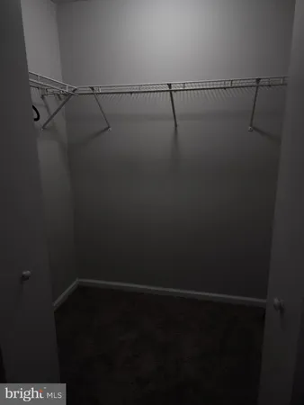 a close view of shower tap