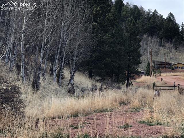 311 Beaver Pond Road Divide, CO 80814 - Photo 4 of 8 Gallery Image 4