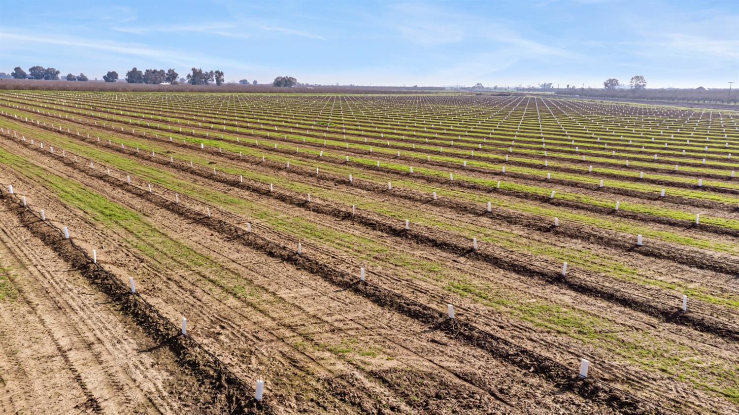 14075 Le Grand Road Le Grand, CA 95333 - Photo 3 of 7