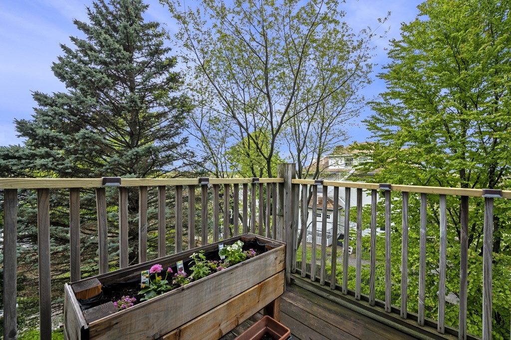 59 Brooksdale Road Boston, MA 02135 - Photo 24 of 35 Gallery Image 24