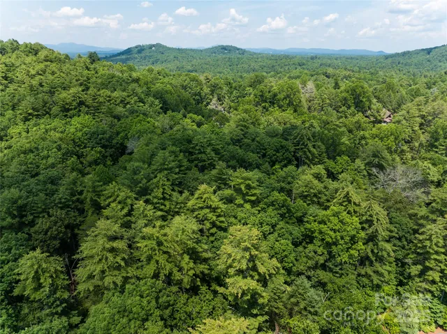 a view of a lush green outdoor space with a lake view