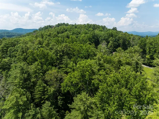 a view of a city and lush green forest