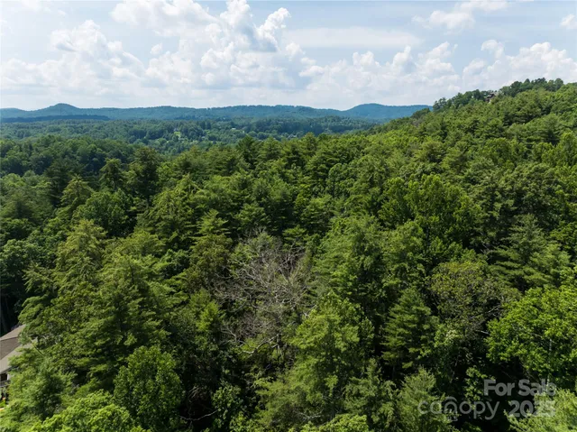a view of a city and mountains
