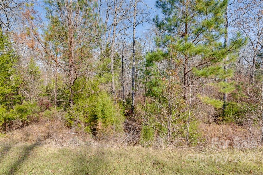 331 Terrapin Pointe Road, Unit 19 Hodges, SC 29653 - Photo 6 of 13 a view of a pathway of a yard