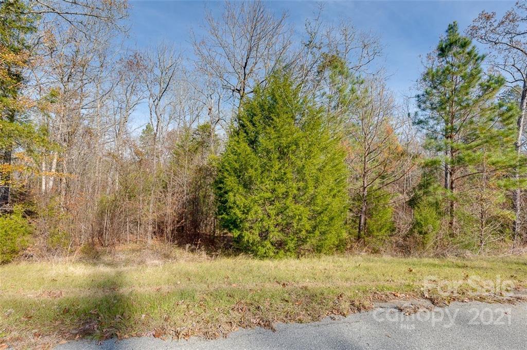 331 Terrapin Pointe Road, Unit 19 Hodges, SC 29653 - Photo 7 of 13 a view of a yard with plants and trees