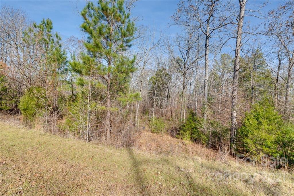 331 Terrapin Pointe Road, Unit 19 Hodges, SC 29653 - Photo 8 of 13 a view of a yard with a tree