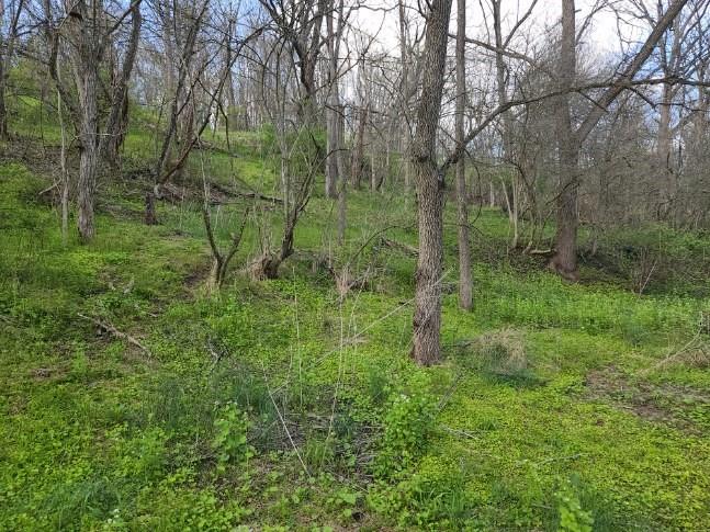 5661 Kemerer Hollow Road Export, PA 15632 - Photo 9 of 11 Gallery Image 9