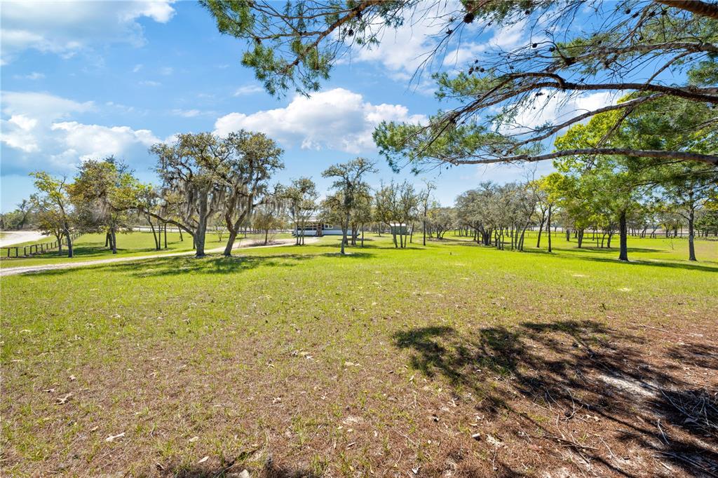 4470 Northeast 121 Avenue Williston, FL 32696 - Photo 12 of 32
