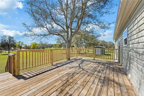 a view of backyard with large trees and plants