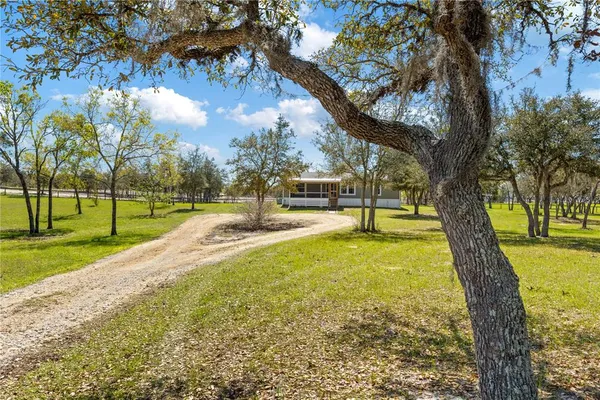 a view of a yard with a tree