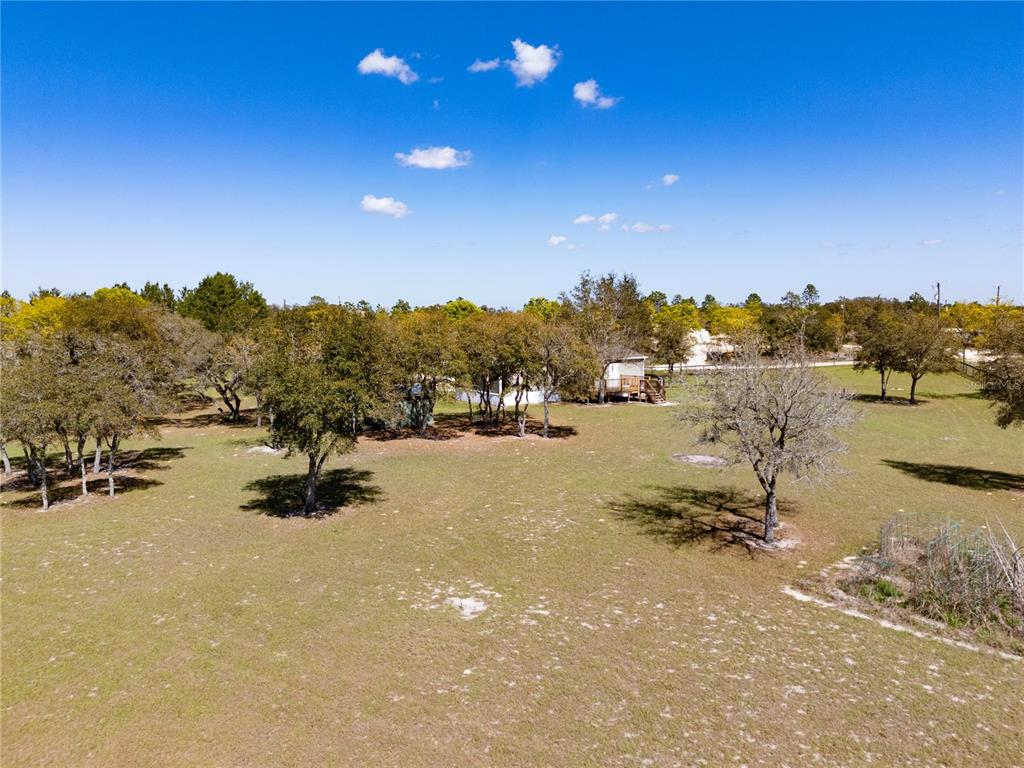 4470 Northeast 121 Avenue Williston, FL 32696 - Photo 10 of 32
