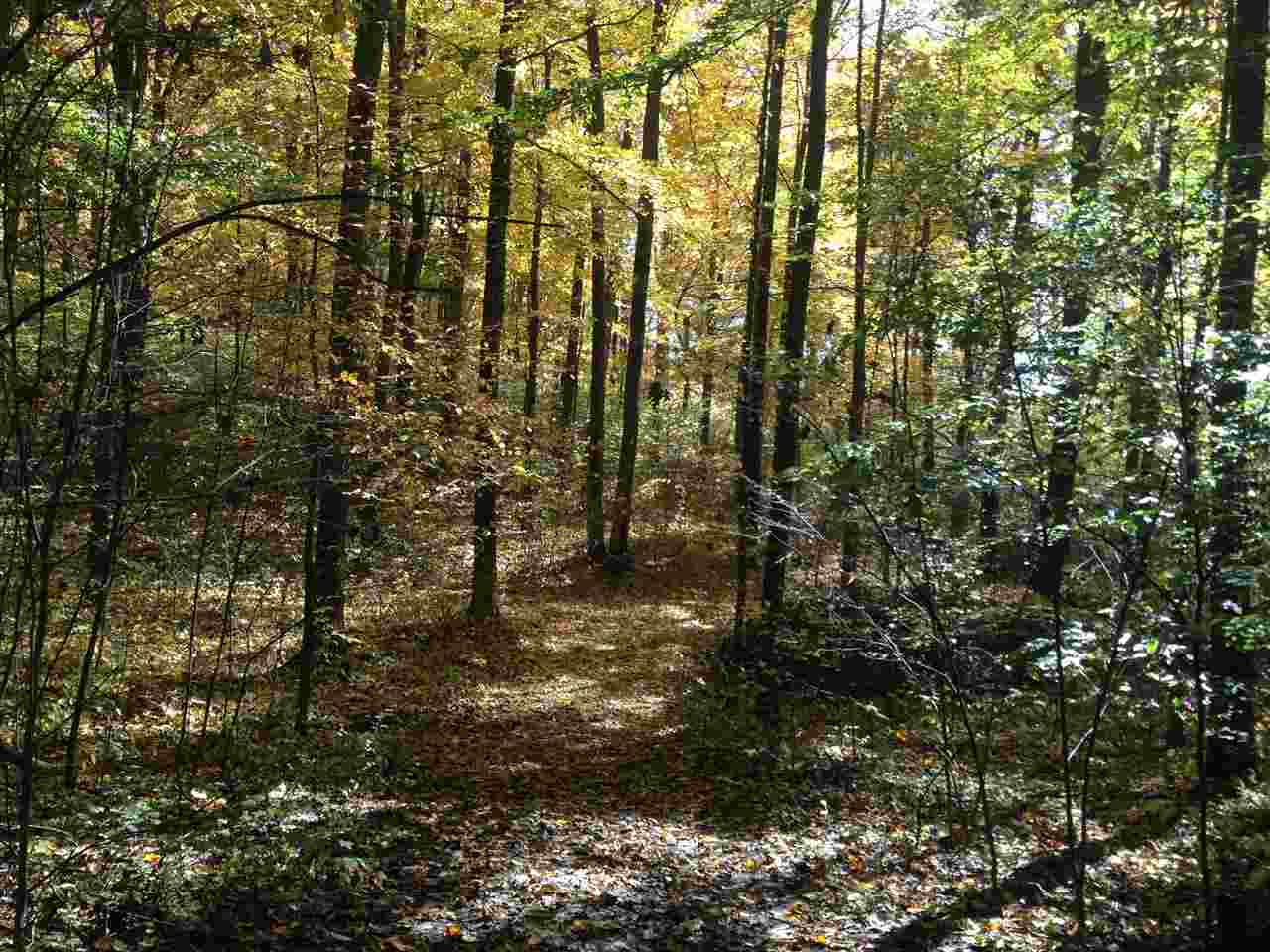 3651 South Owensburg Road Springville, IN 47462 - Photo 1 of 16