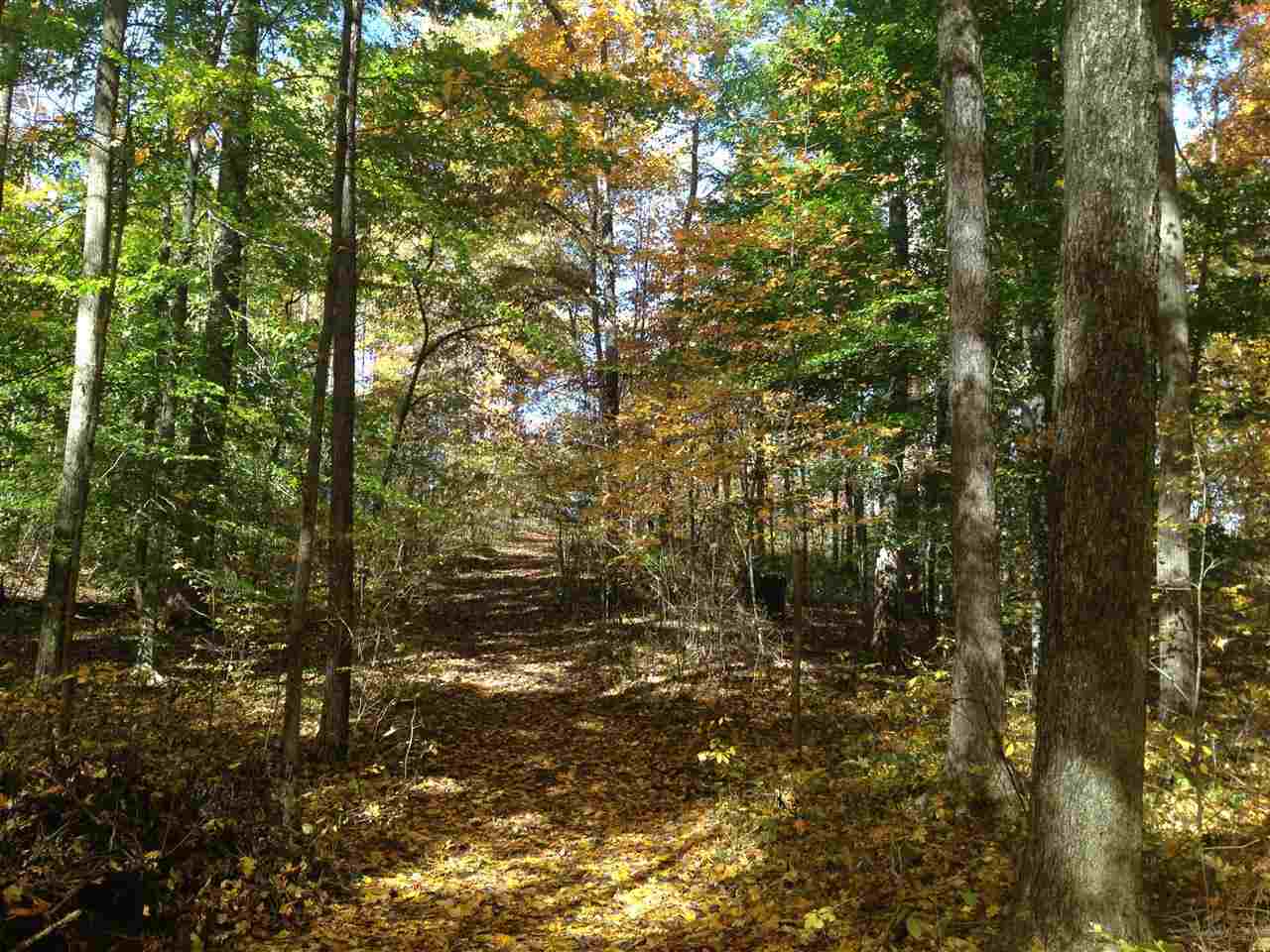 3651 South Owensburg Road Springville, IN 47462 - Photo 3 of 16