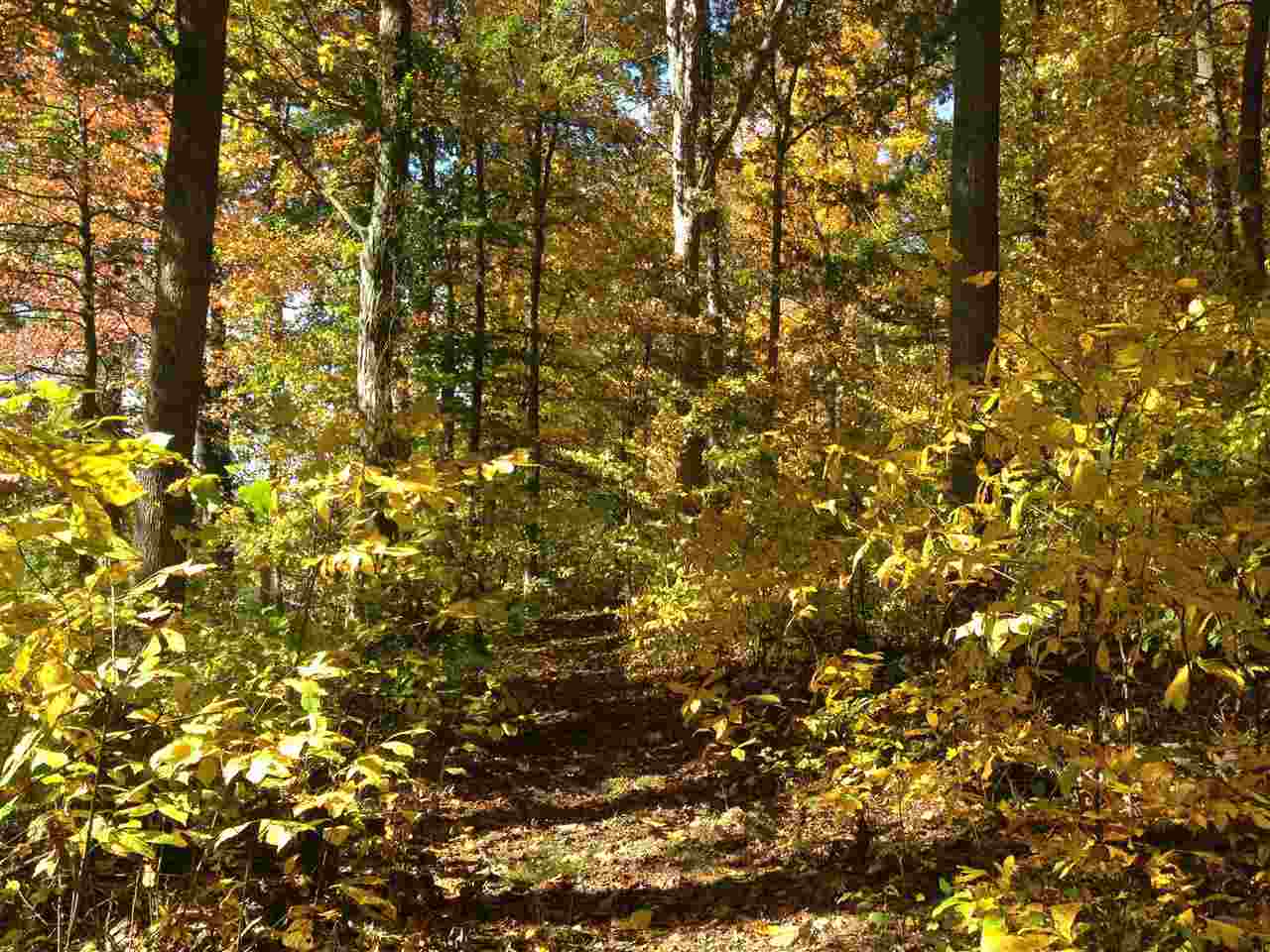 3651 South Owensburg Road Springville, IN 47462 - Photo 8 of 16