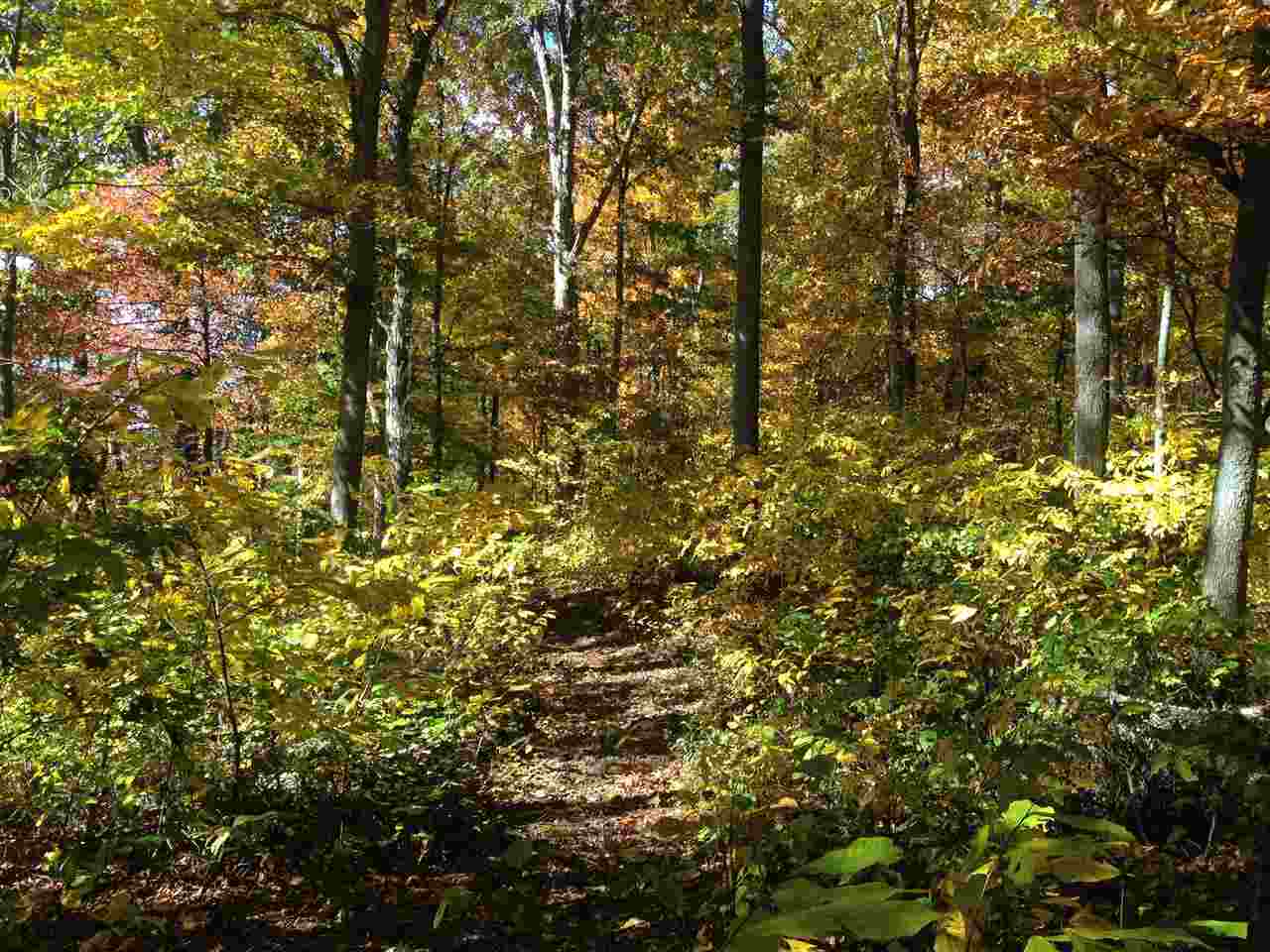 3651 South Owensburg Road Springville, IN 47462 - Photo 9 of 16