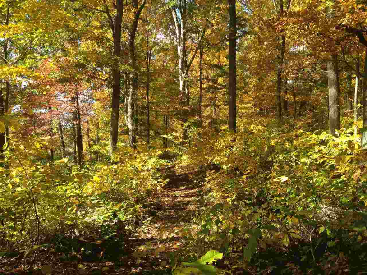 3651 South Owensburg Road Springville, IN 47462 - Photo 10 of 16