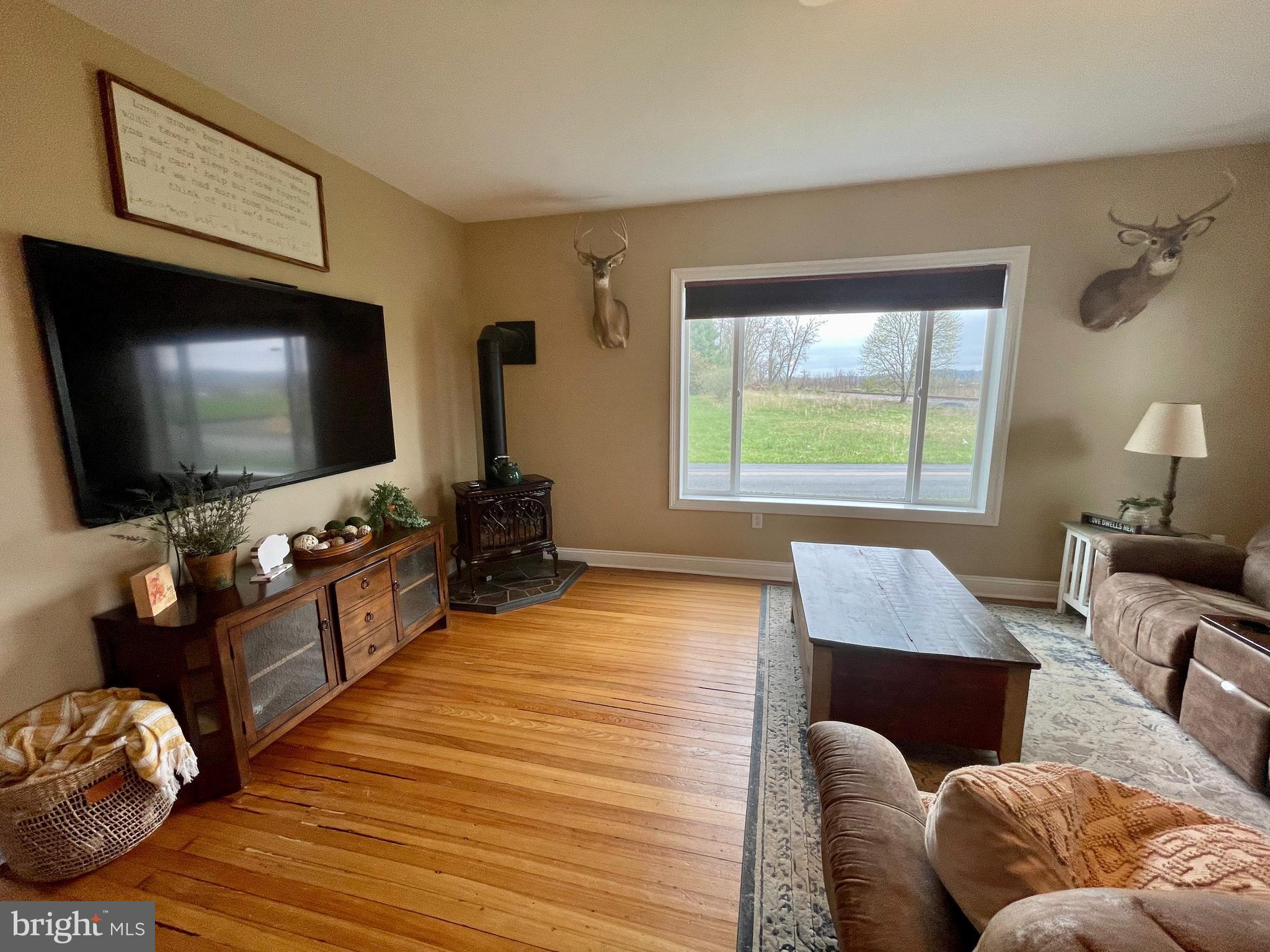 384 Mt Hope Road Fairfield, PA 17320 - Photo 17 of 58 living room
