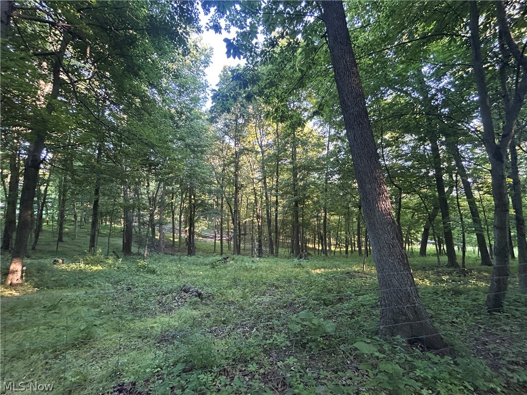 12929 Pleasant Valley Road Northeast Utica, OH 43080 - Photo 27 of 47