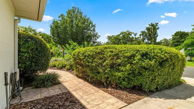 a view of a garden with pathway
