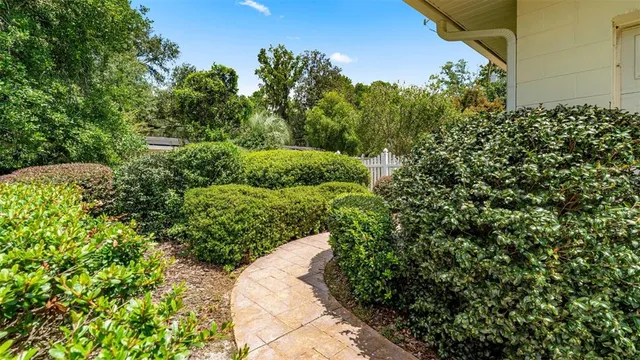 a view of a garden with plants