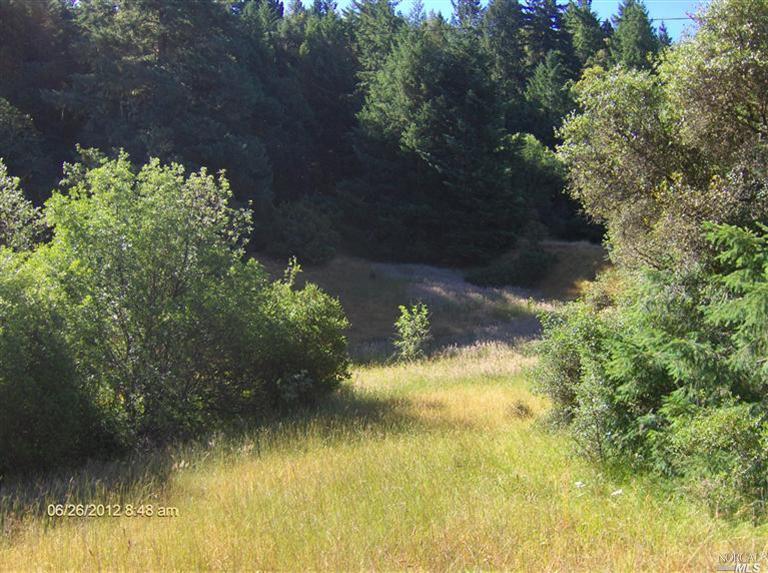 0 Berry Canyon Road Willits, CA 95490 - Photo 1 of 1
