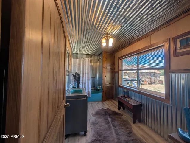 a outdoor view covered with tall trees