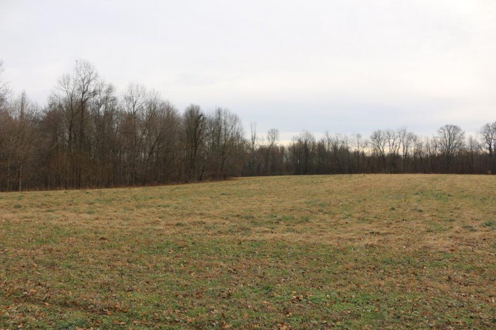 17100 Barton Road Fredericktown, OH 43019 - Photo 13 of 30 12