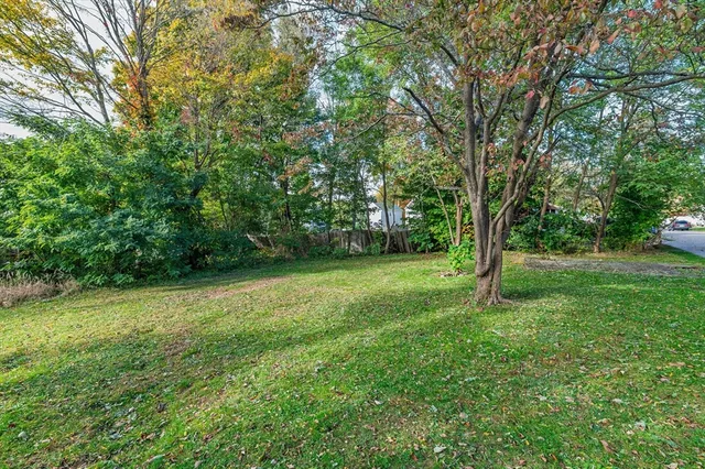 a view of a field with a tree