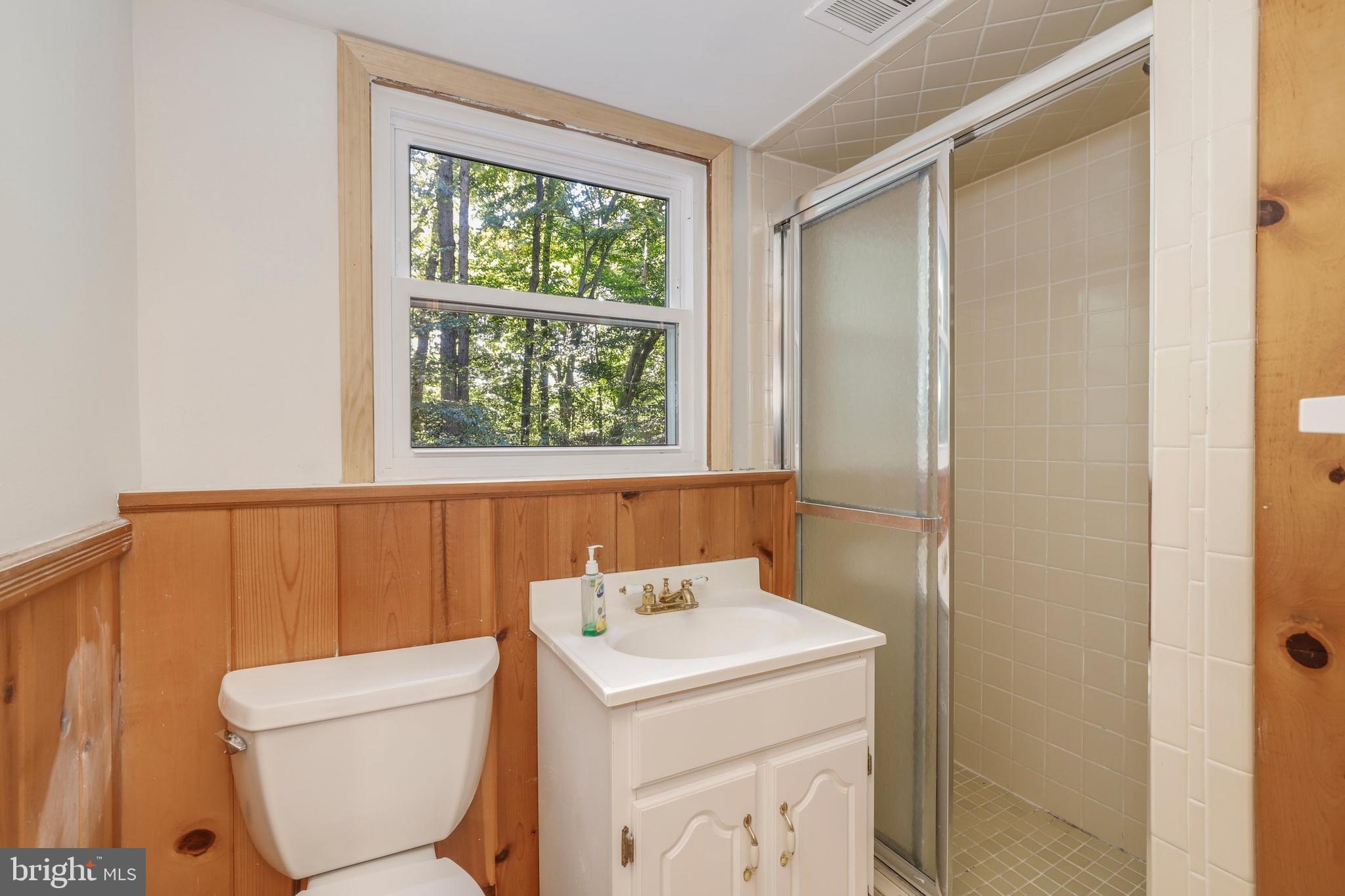 8461 Thames Street Springfield, VA 22151 - Photo 50 of 57 a bathroom with a toilet a sink and a window