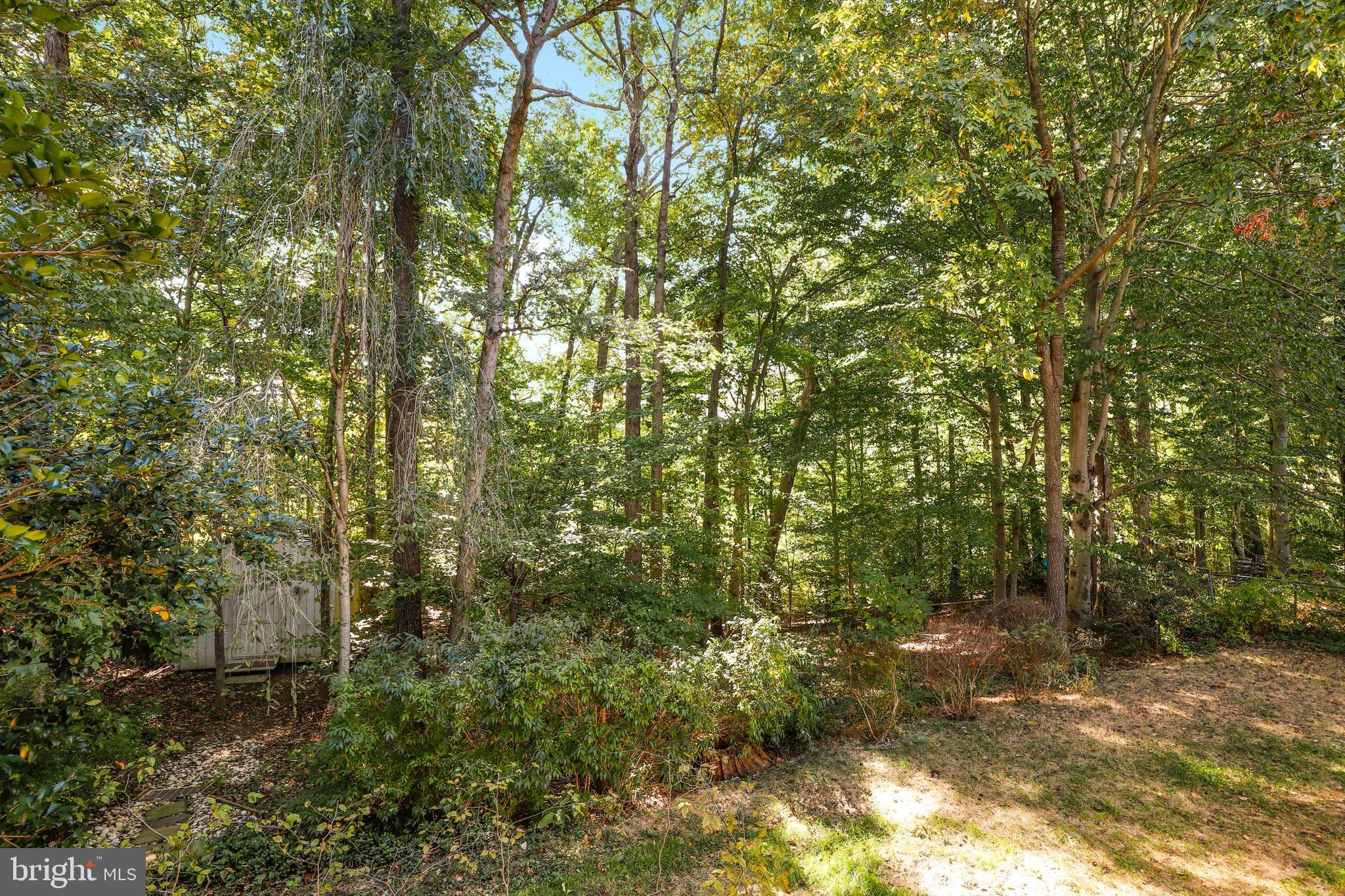 8461 Thames Street Springfield, VA 22151 - Photo 51 of 57 a view of a yard