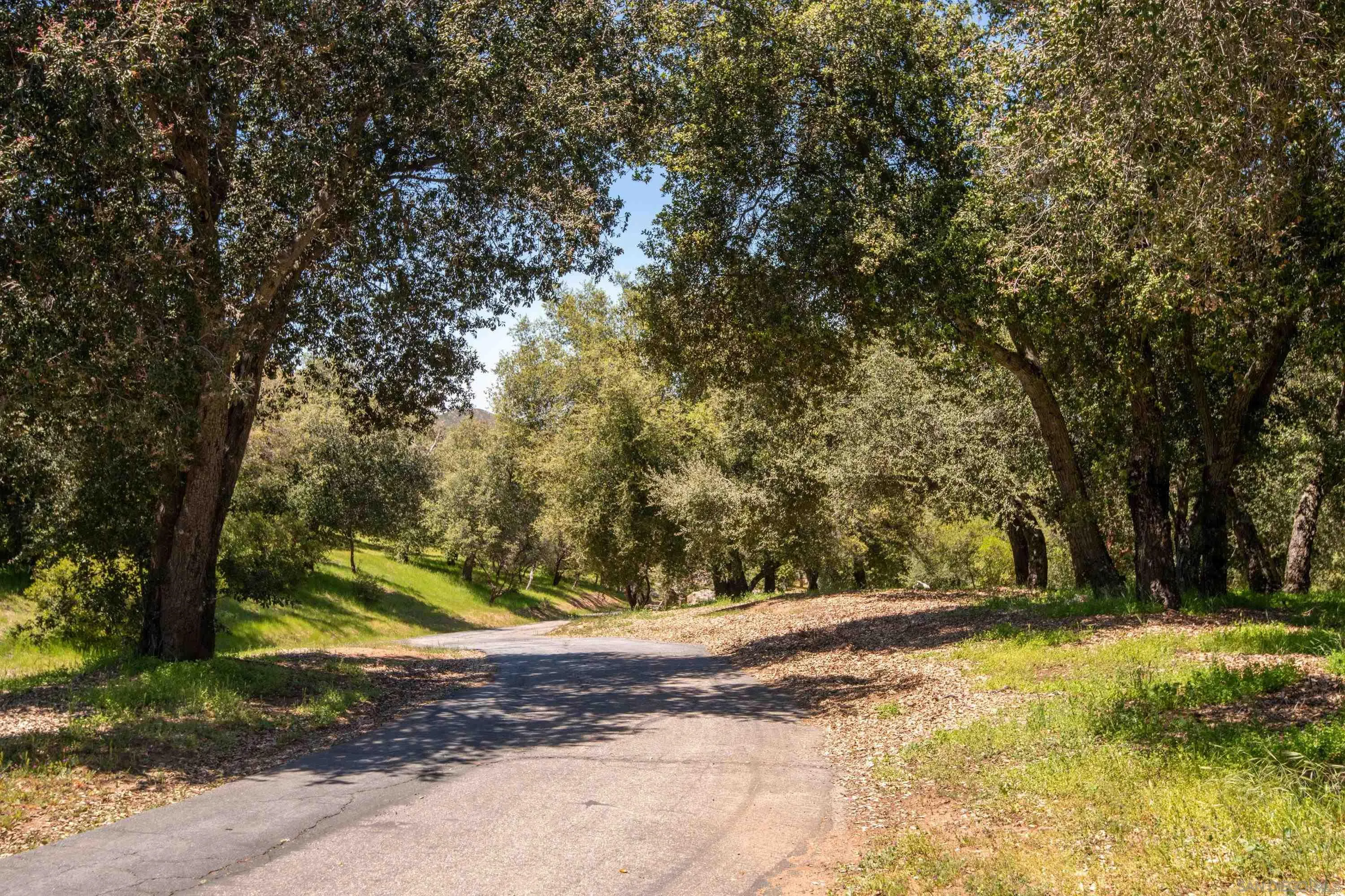 23835 Viejas Grade Road Descanso, CA 91916 - Photo 39 of 50 a view of yard