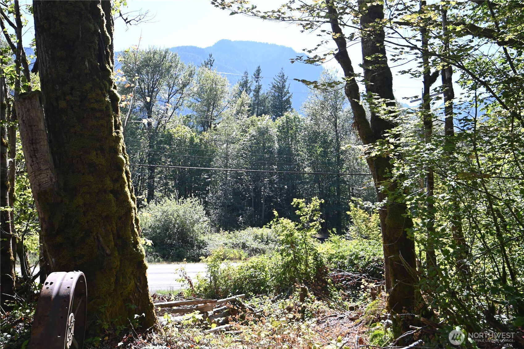0 Sr 2 Baring, WA 98224 - Photo 11 of 16 a view of a garden with mountain