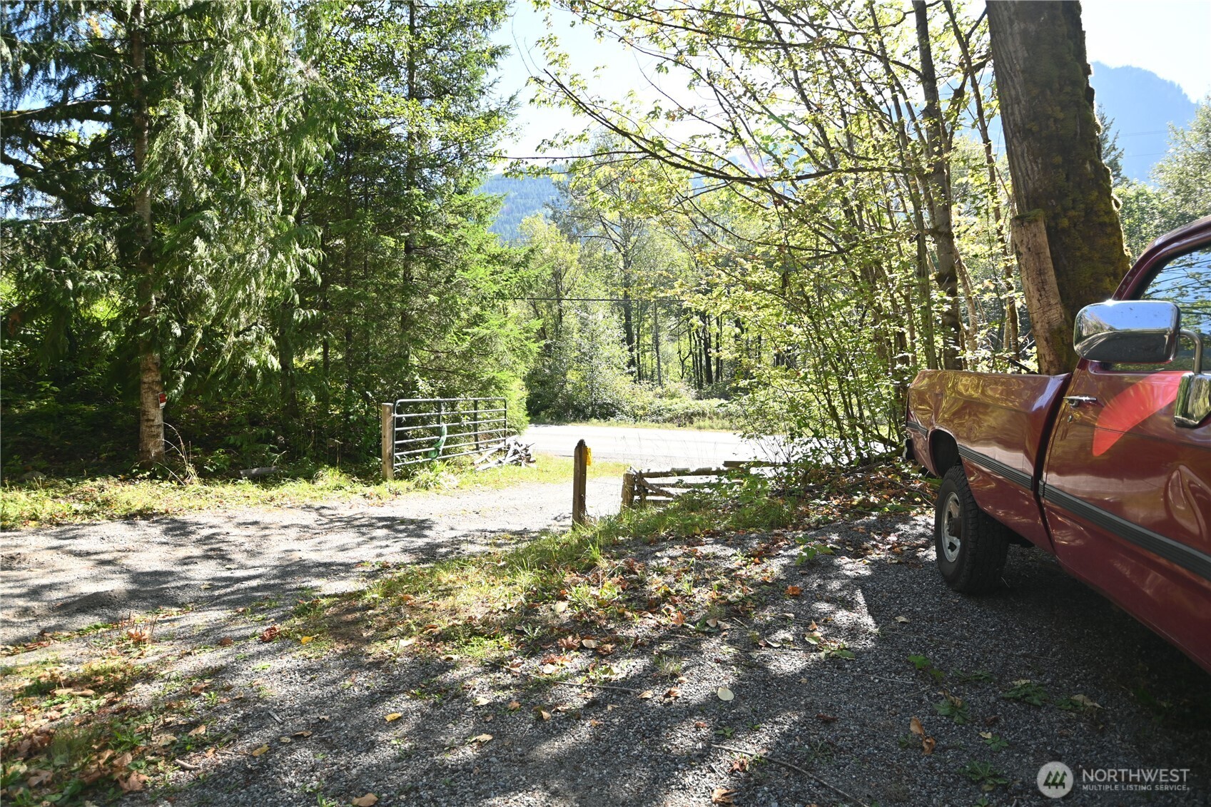 0 Sr 2 Baring, WA 98224 - Photo 14 of 16 a view of a yard with plants and trees