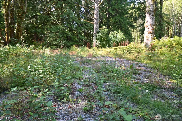 a view of yard covered with green space