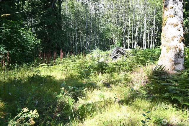 a backyard of a house with lots of green space and fountain
