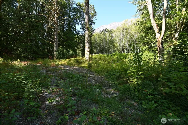 a view of a yard with a tree