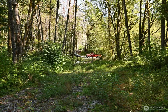 a view of a tree in a backyard of a house