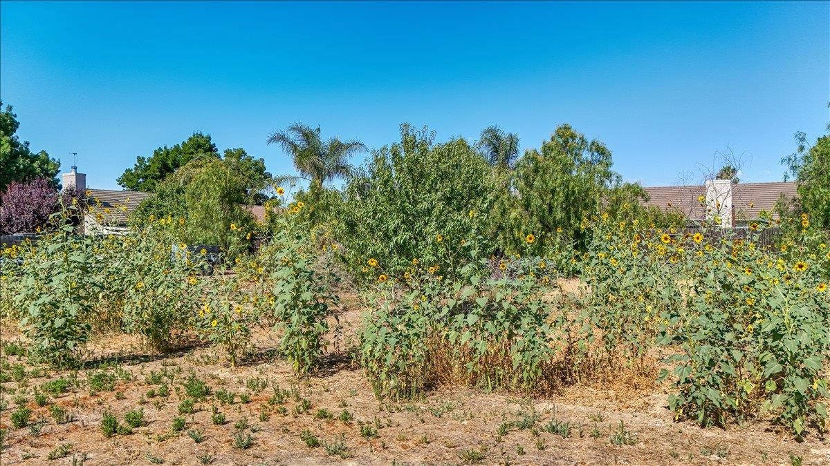 28937 Upper Road Newman, CA 95360 - Photo 42 of 58