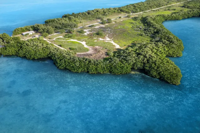 a view of a garden with an outdoor seating