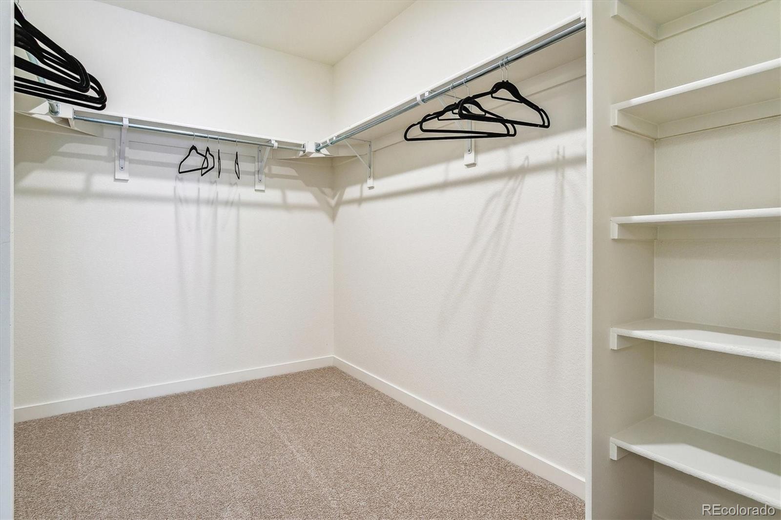 3218 Belleville Ridge Road Elizabeth, CO 80107 - Photo 19 of 29 Gallery Image 19