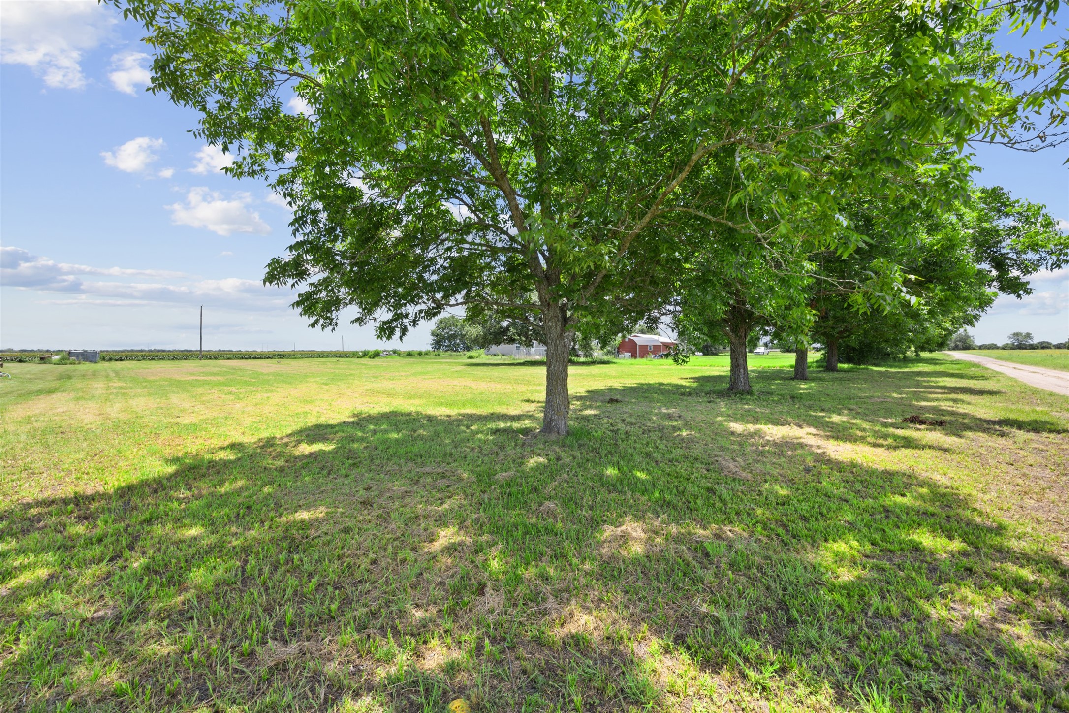 17420 Penwood Road East Bernard, TX 77435 - Photo 11 of 23