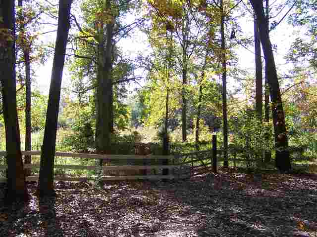 1023 Timber Rock Road Anderson, SC 29621 - Photo 12 of 12